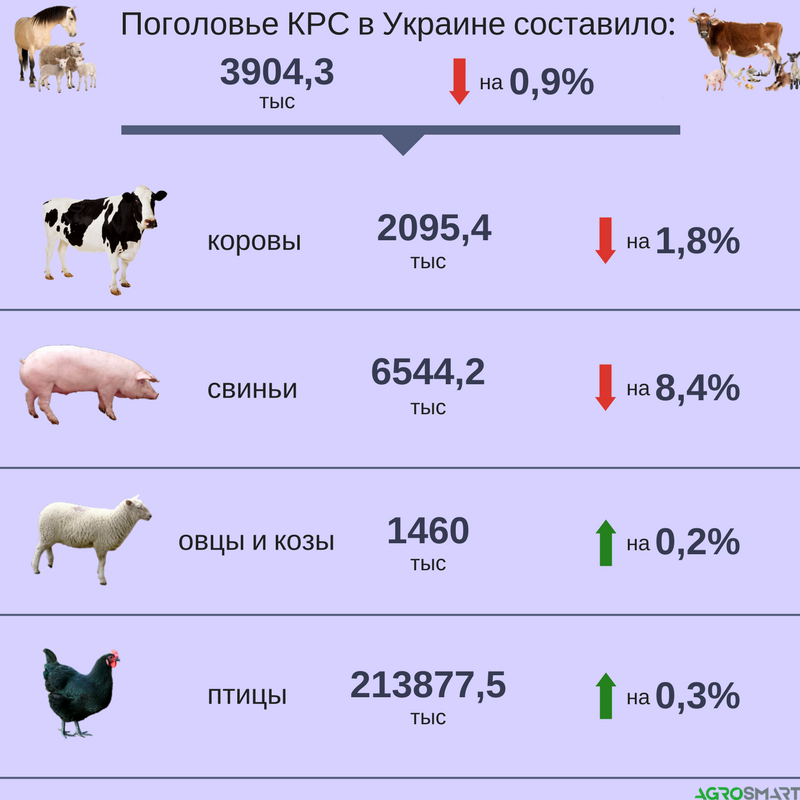 Налог на домашних животных в россии: будет ли введен