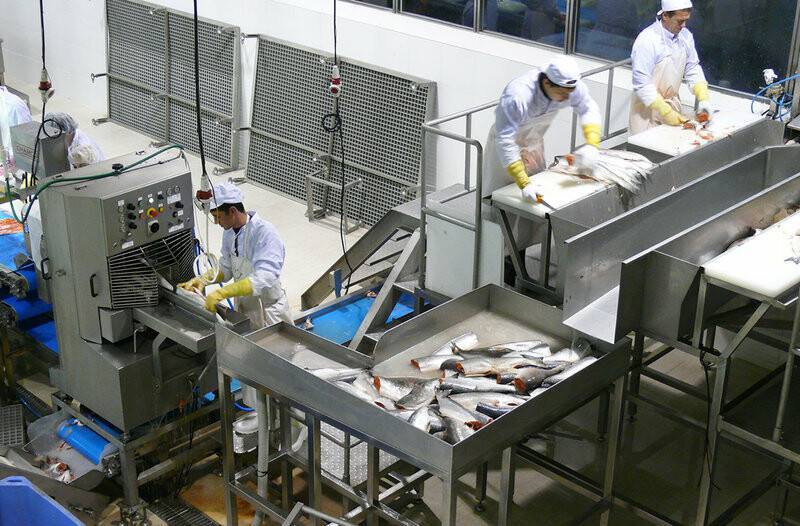Рыбное производство: технологии, оборудование. рыбный завод :: businessman.ru