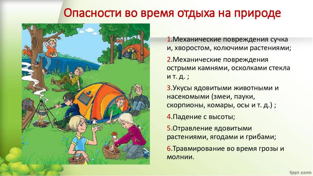 Правила безопасности на природе | без палатки.ру
