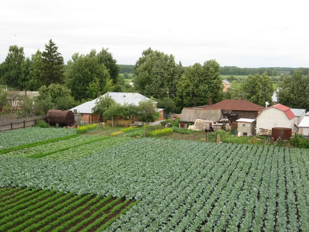 Бизнес-план крестьянско-фермерского хозяйства