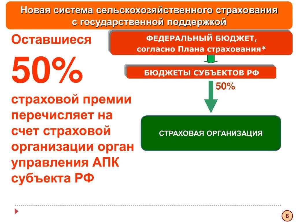 Сельскохозяйственное страхование: особенности услуги :: businessman.ru