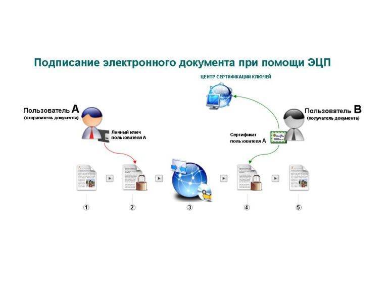 Электронная подпись: как сделать? порядок получения электронной подписи :: businessman.ru