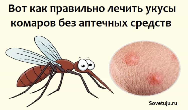 Почему комары кусают не всех?