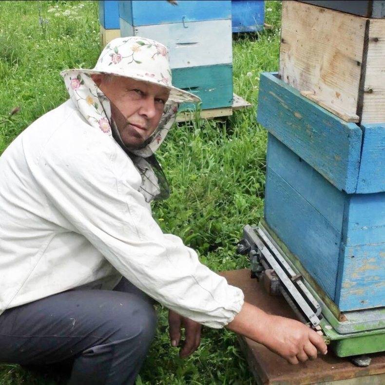 Информационные технологии на службе у пчеловодов: "компьютероняня" для пчел