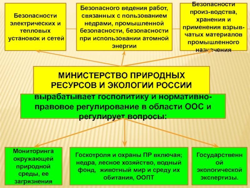 Экологическая политика. министерство природных ресурсов и экологии