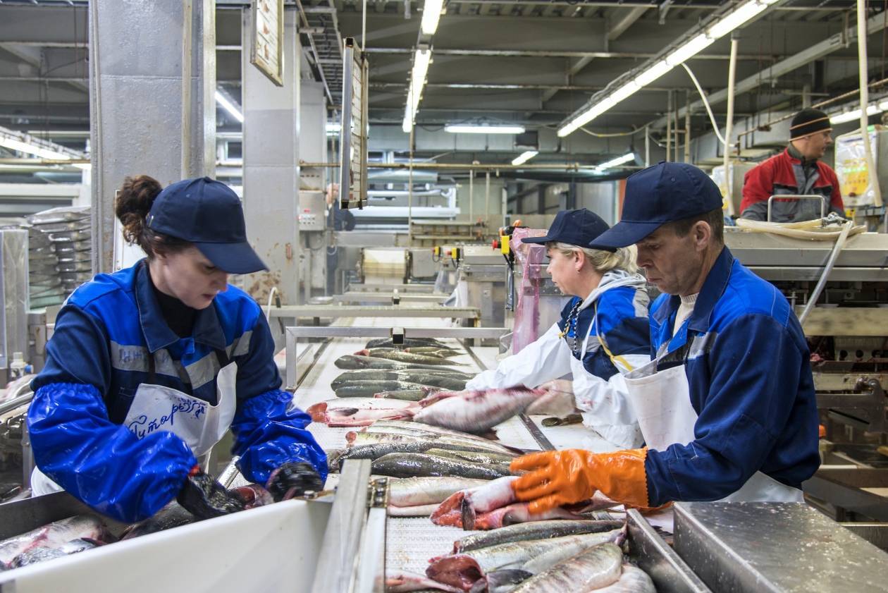 Рыбное производство: технологии, оборудование. рыбный завод :: businessman.ru