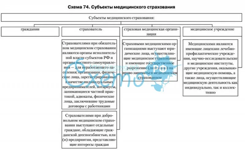 Как функционирует омс в российской федерации в 2022 году