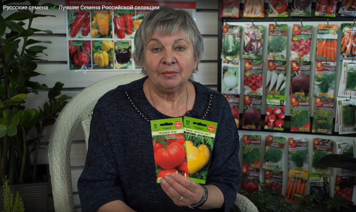 Бизнес на семенах. как продавать семена овощей голландской селекции в россии