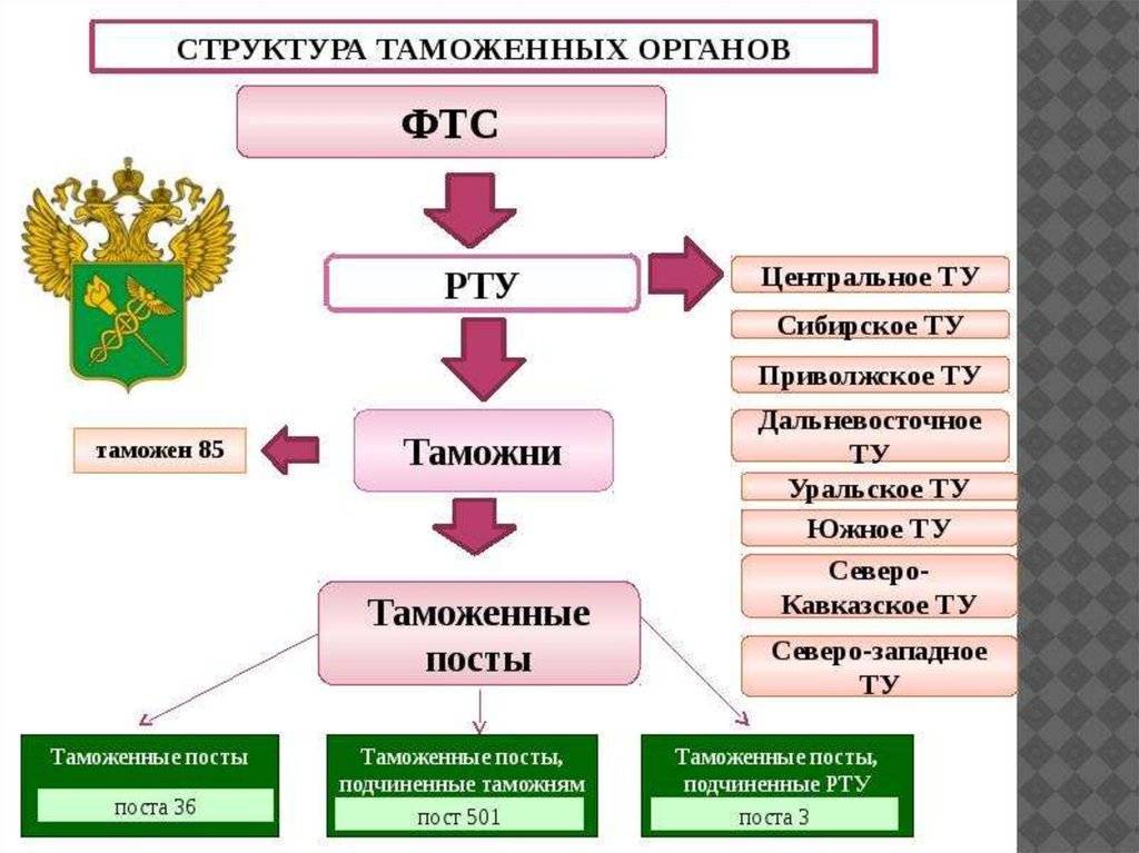 Таможенные органы: понятие, структура, система и принципы деятельности :: businessman.ru