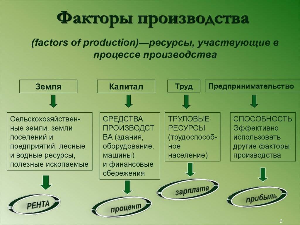 Факторы ⚠️ производства: это в экономике, какие существуют, особенности