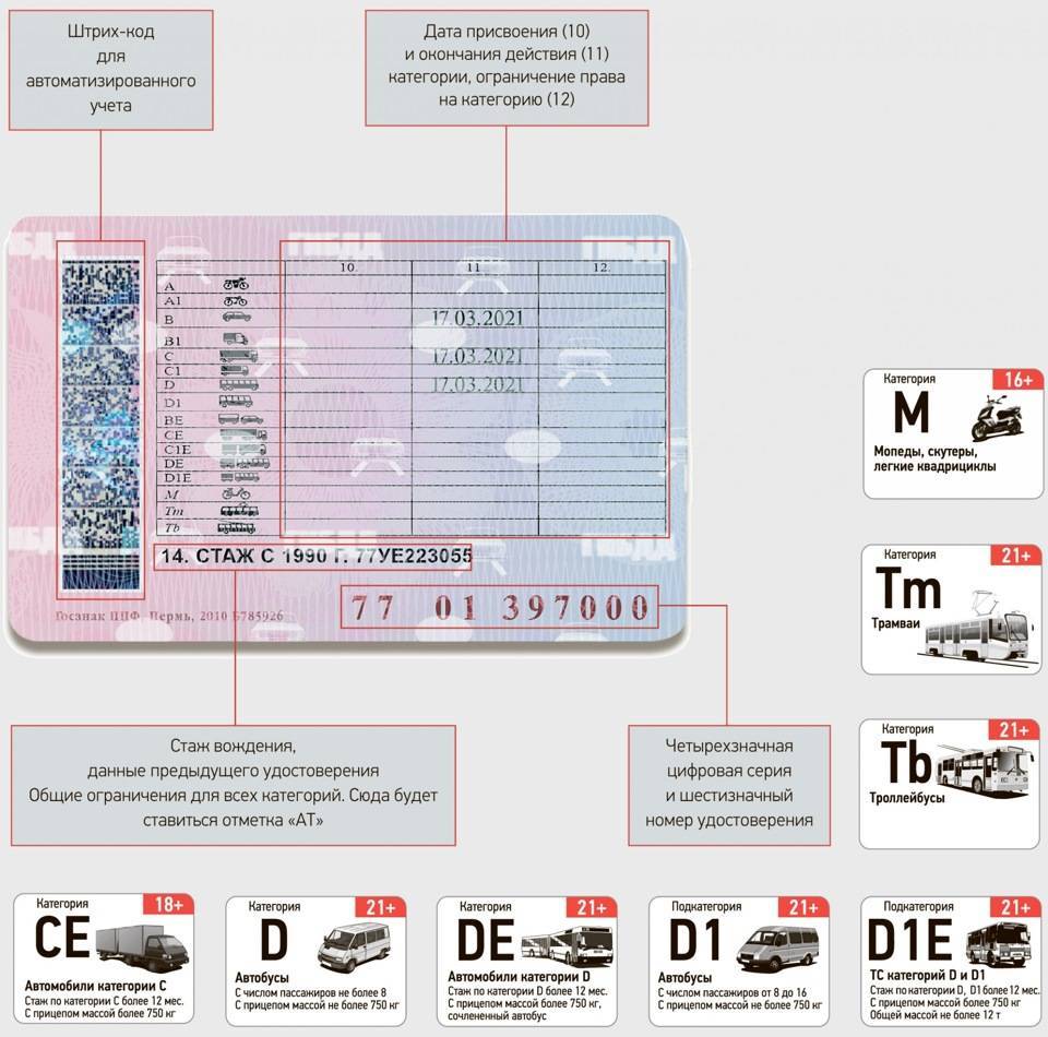 Все категории водительских прав 2022 года с расшифровкой: а, в, с, d, м, ве, се, de