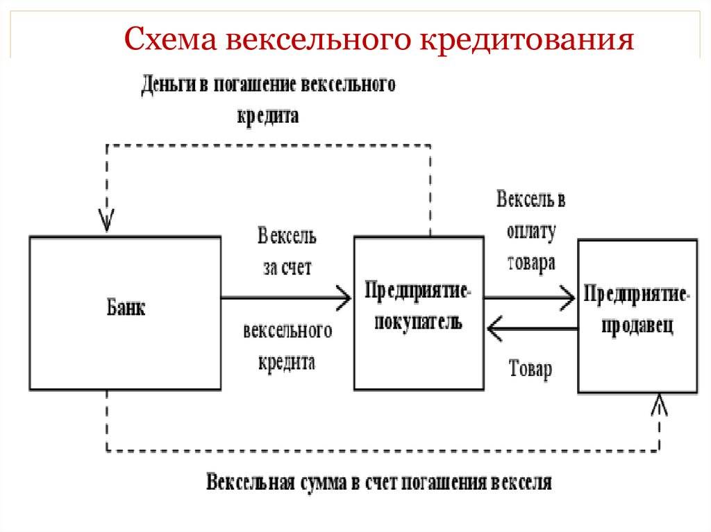Вексельная система. виды векселей и их применение при расчетах :: businessman.ru