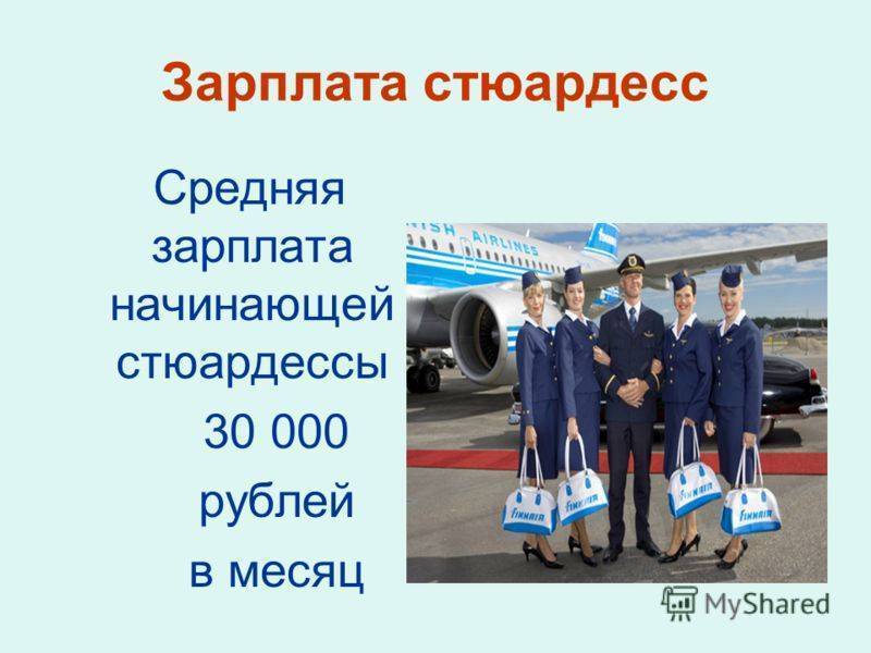 Зарплата стюардессы в россии в 2020 году: какие произошли изменения
