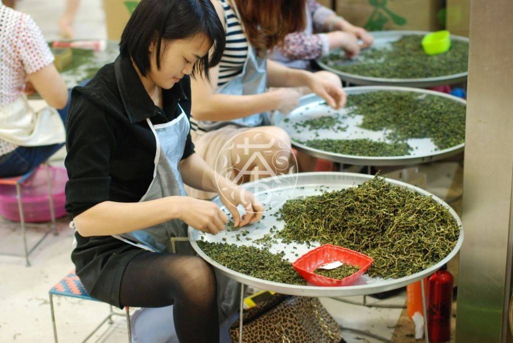 Свой бизнес: продажа китайского чая. как найти поставщика в китае? чайный бизнес бизнес на чае пуэр