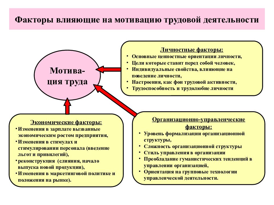 Мотивация поведения