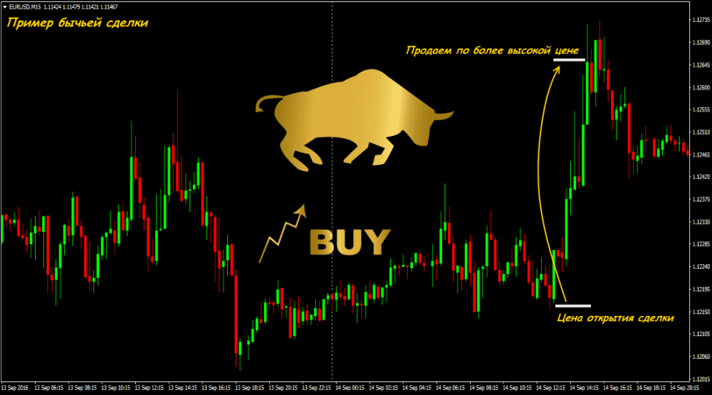 Кто такие быки и медведи на бирже?