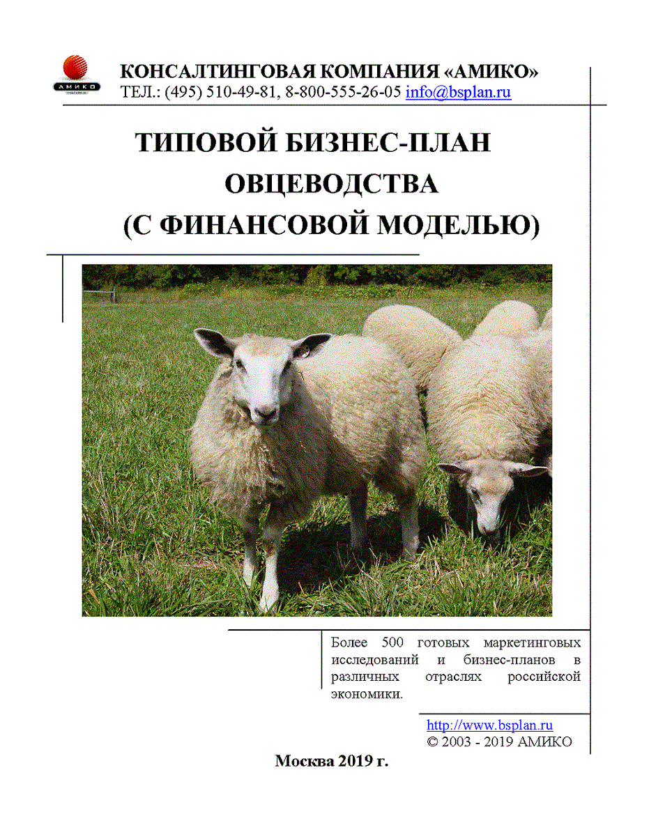 Разведение овец как бизнес для начинающих. пошаговая инструкция