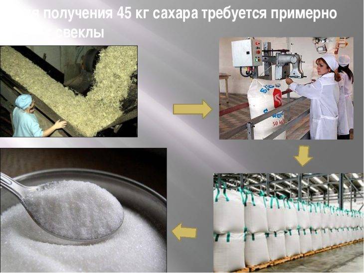 Как открыть производство сахара-рафинада