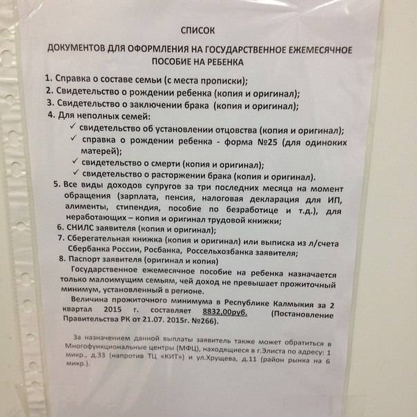 Ежемесячное детское пособие: необходимые документы и процедура оформления :: businessman.ru