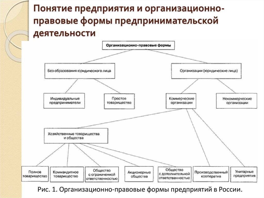 Организационно-правовая форма – taxslov.ru