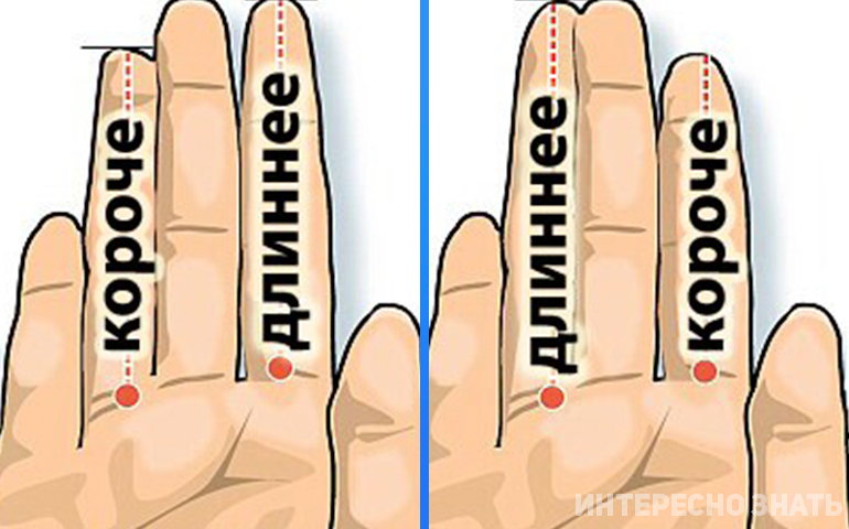 Длина пальцев женщин. Пальцы и ориентация. Предрасположенность по пальцам. Ориентация по пальцам рук. Ориентация по длине пальцев рук.