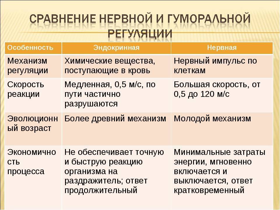 Место жительства и пребывания: тонкости регистрации в россии