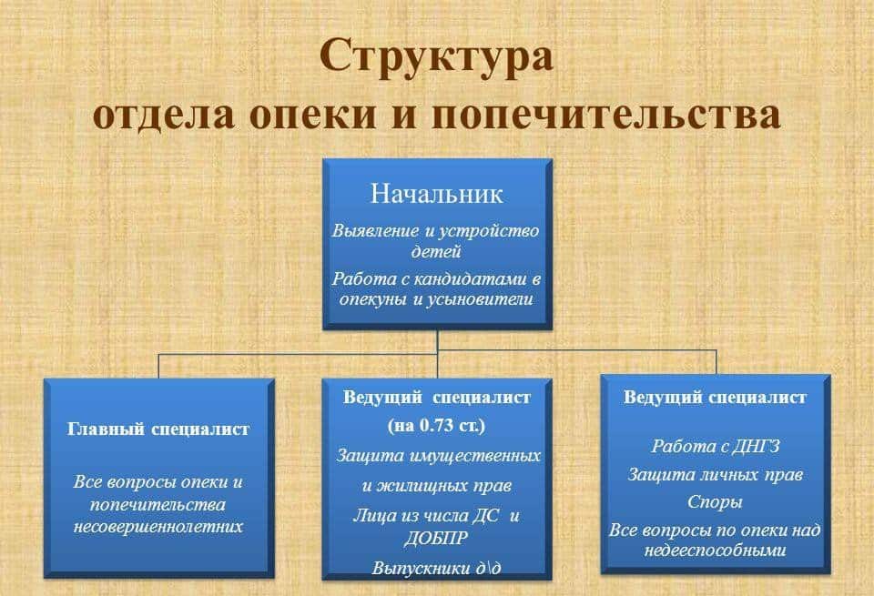 Органы попечительства и опеки. деятельность органов опеки и попечительства :: businessman.ru