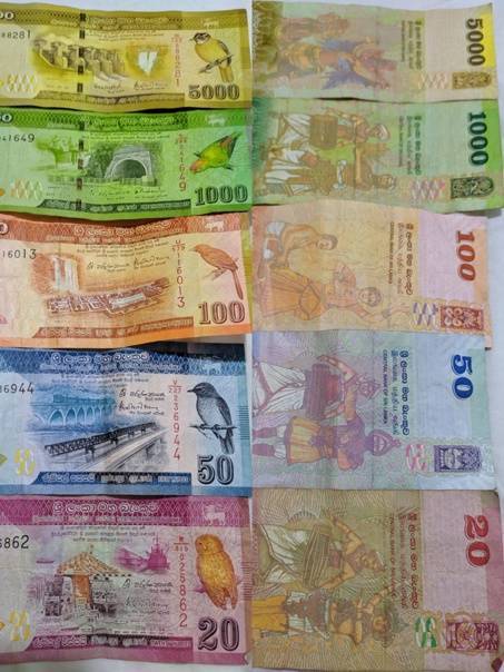 Шри ланка деньги курс. Купюры Шри Ланки. Рупия Шри Ланка. Валюта Шри Ланки банкноты. Валюта на Шри Ланке.