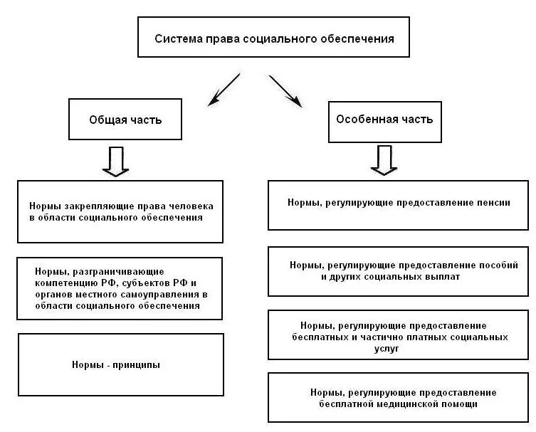 Социальное обеспечение в российской федерации доклад