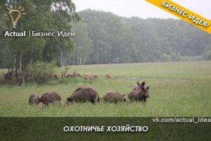 Бизнес-план охотничьего хозяйства. как взять в аренду охотничьи угодья :: businessman.ru