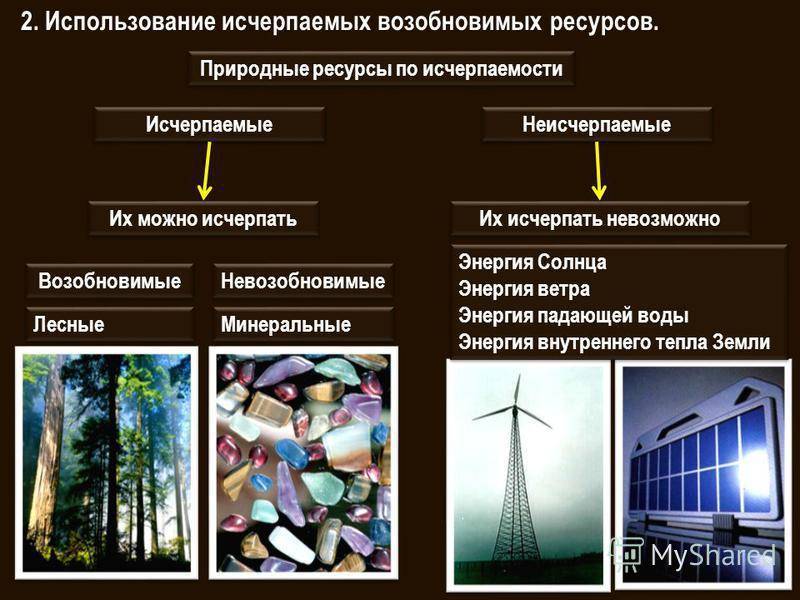 Виды природных ресурсов: возобновляемые и невозобновляемые