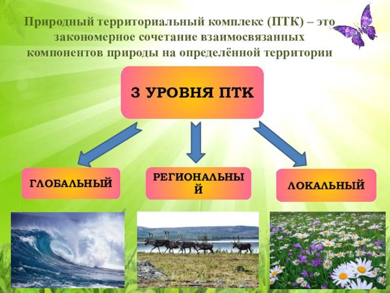 Презентация на тему "разнообразие природных комплексов россии" по биологии для 7 класса