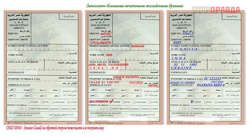 Виза в египет: особенности безвизового режима, оформление туристической или долгосрочной визы в страну