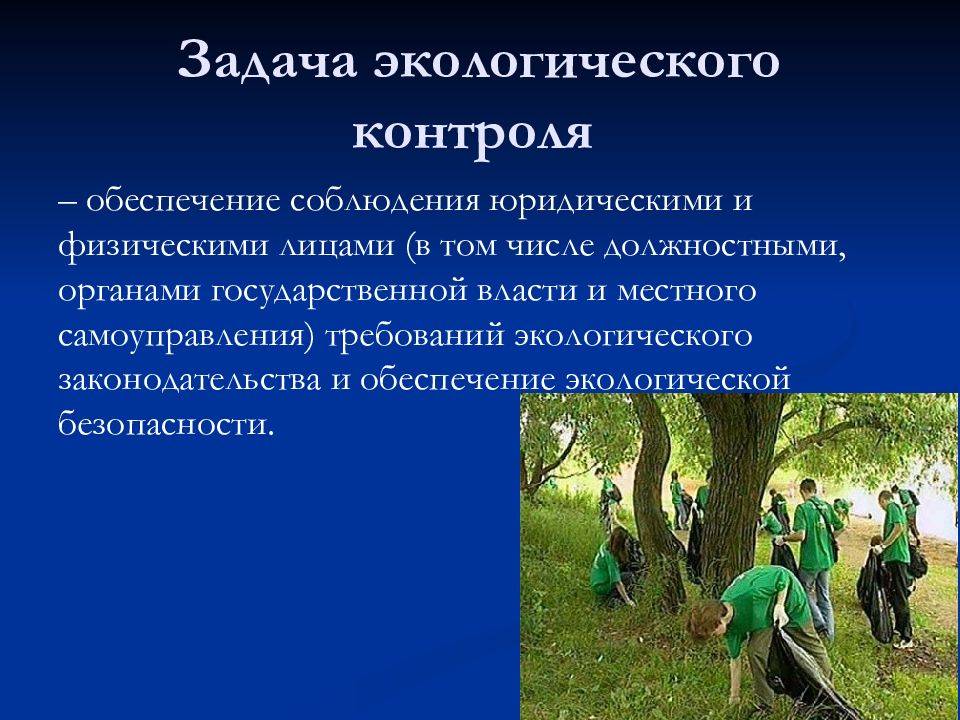 Правовые основы экологического контроля в российской федерации