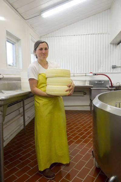 Производство сыра как бизнес мини цех