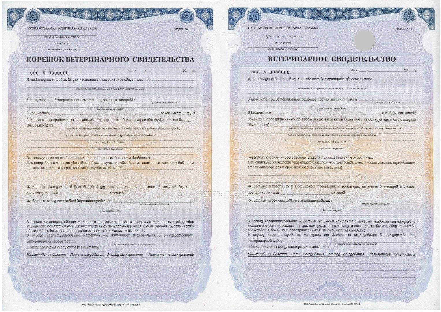 Ветеринарный сертификат: описание документа и правила его получения