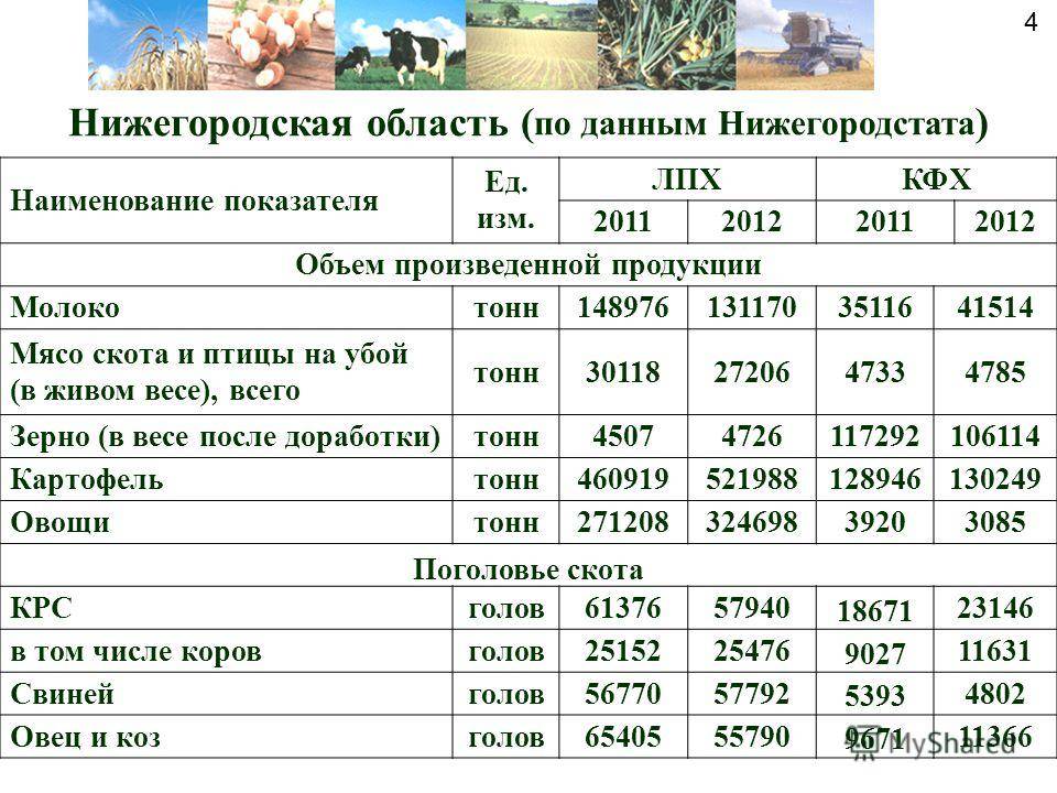 Что такое личное подсобное хозяйство (лпх)?