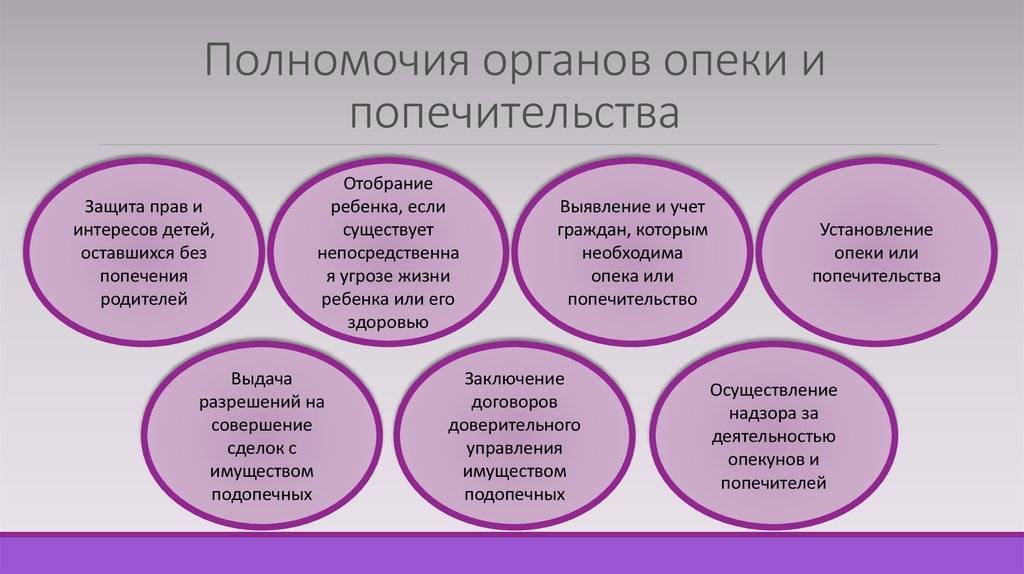 Органы попечительства и опеки. деятельность органов опеки и попечительства :: businessman.ru