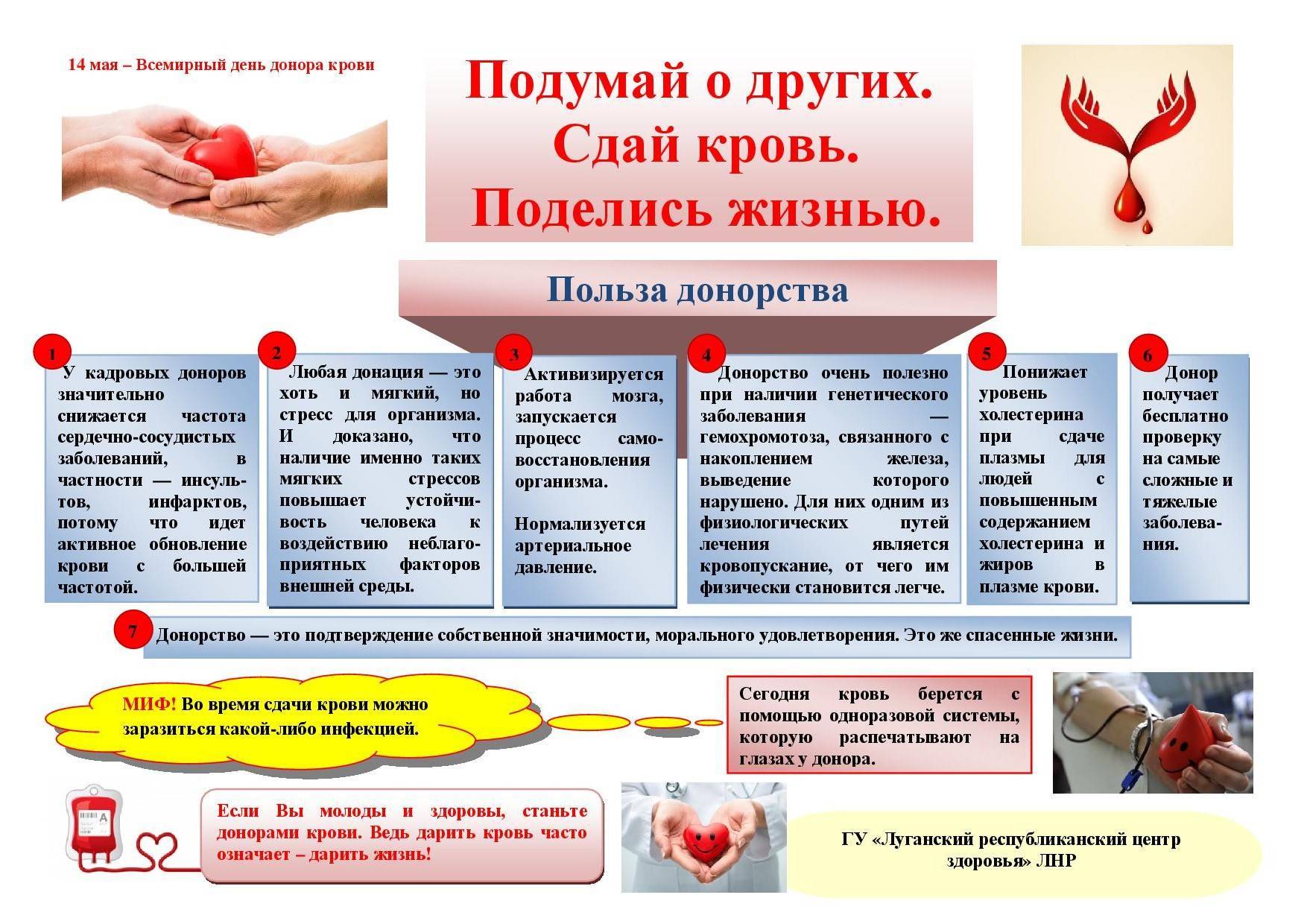 4 плюса донорства крови для организма человека, чем полезна донация для мужчин и женщин