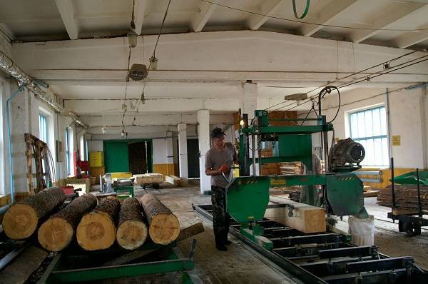 Бизнес-план деревообрабатывающего бизнеса. как открыть деревообрабатывающий цех: необходимое оборудование и расчет затрат для старта