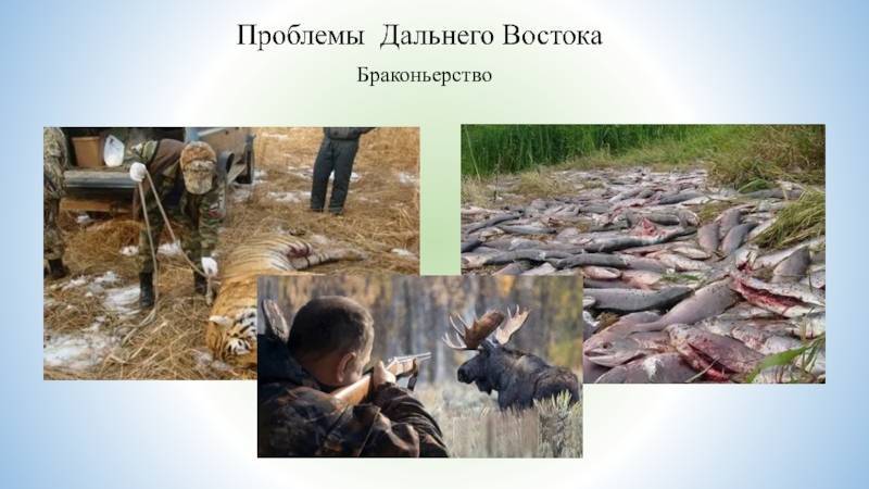 Штрафы за браконьерство 2021 в россии