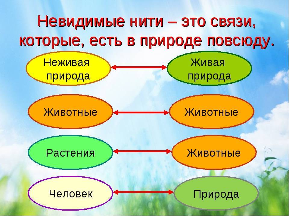 Цифровое неравенство: почему в сфере it мало женщин и как гендерный дисбаланс при сборе данных вредит науке