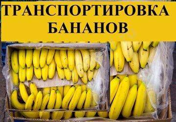 Как и чем обрабатывают бананы и зачем это делают? способы хранения и транспортировки бананов