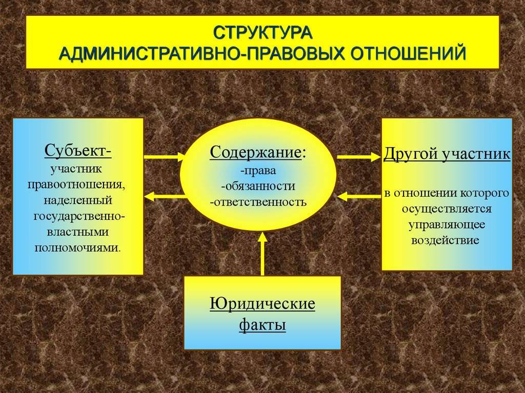 Административные отношения: определение, содержание, законодательные пробелы и пути их решения