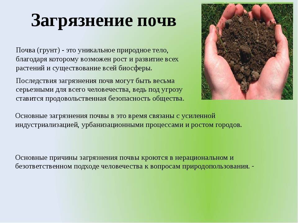 Загрязнение почвы – причины проблемы, источники, виды, показатели и последствия кратко детям для доклада (4 класс, окружающий мир)