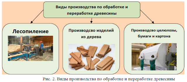 Как открыть бизнес по переработке древесины