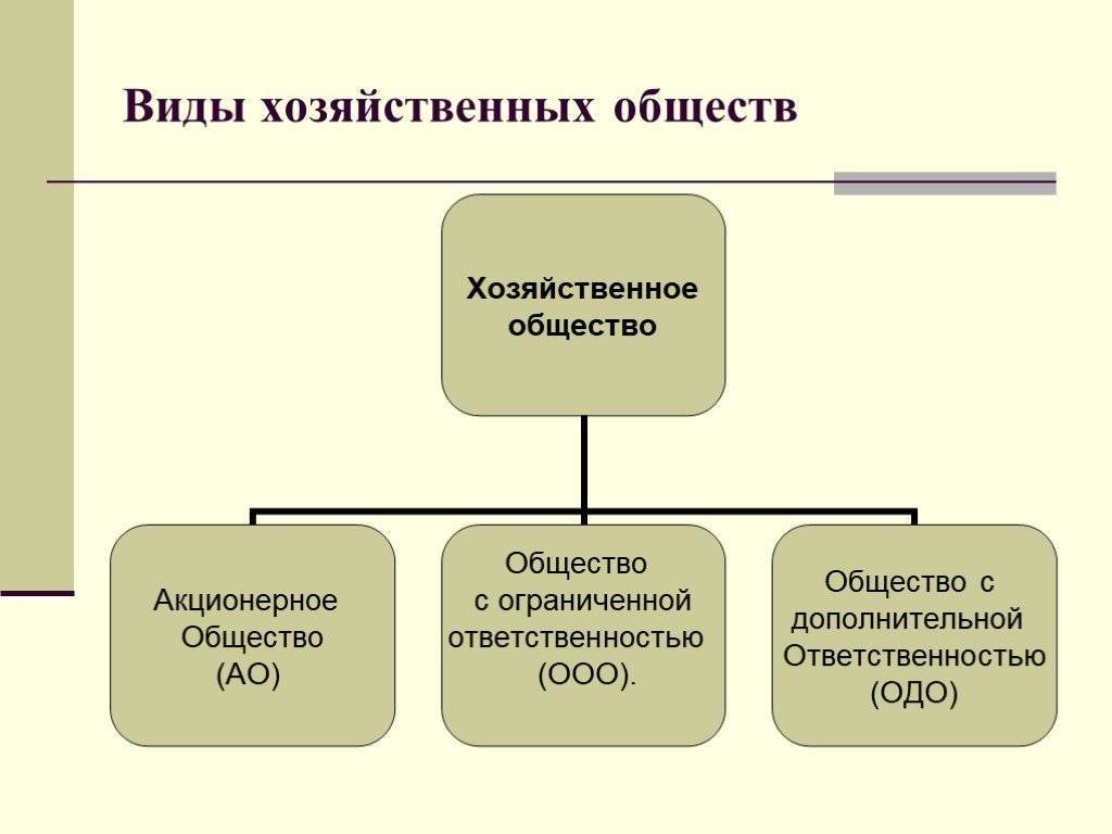 Хозяйственные общества понятие, отличительные признаки, виды