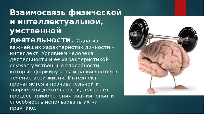 Устройство и работа головного мозга человека