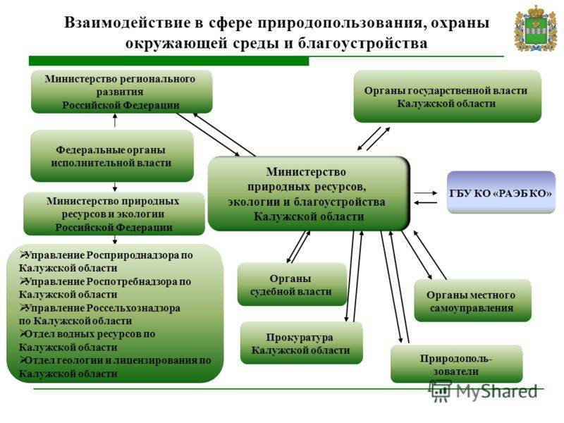 Министерство природных ресурсов и экологии структура