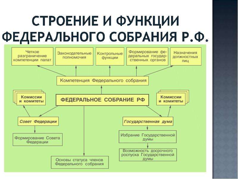 Состав, структура, порядок формирования совета федерации рф :: businessman.ru